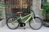 Xe đạp điện Nhât Bán trợ lực Vienta màu xanh cốm - anh 1