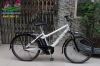 Xe đạp trợ lực Nhật Bản Vienta 2015 màu trắng - anh 1