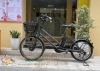 Xe đạp điện Nhật chạy tay ga Ebike - anh 1