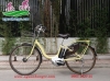 Xe đạp điện trợ lực Natura vàng chanh - anh 1