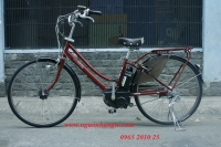 Xe đạp điện trợ lực ASSISTA STILA đỏ đun 2
