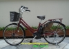 Xe đạp điện trợ lực ASSISTA STILA đỏ đun 1 - anh 2
