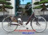 Xe đạp điện trợ lực Sanyo Enersys màu đỏ - anh 2