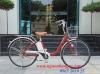 Xe đạp điện Nhật bãi Panasonic nữ đỏ đun - anh 2