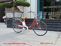 Xe đạp điện Nhật bãi Panasonic nữ đỏ đun