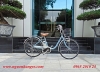 Xe đạp điện Nhật Panasonic xanh lam - anh 1
