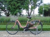 Xe đạp điện Nhật Natura Assista màu hồng phấn - anh 1