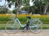 Xe đạp điện Nhật trợ lực Assista 20 - anh 1