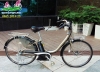 Xe đạp điện Nhật trợ lực Yamaha Pas Natura màu đồng - anh 1