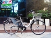 Xe đạp điện Nhật trợ lực Yamaha Pas Natura màu bạc - anh 1