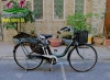 Xe đạp điện Nhật Natura xanh lá già - anh 1