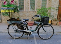 Xe đạp điện Nhật Natura xanh lá già