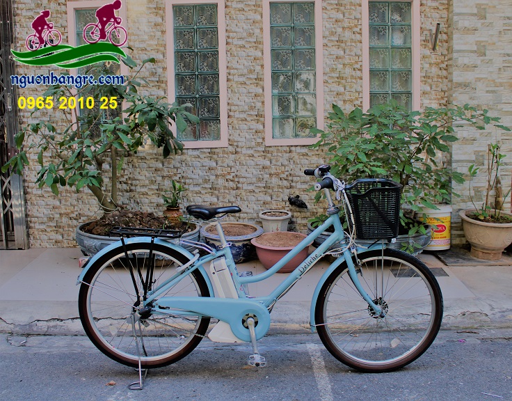 Xe đạp điện Nhật trợ lực Deliche màu xanh