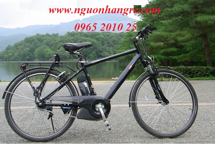 Xe đạp điện Nhật Brigestone