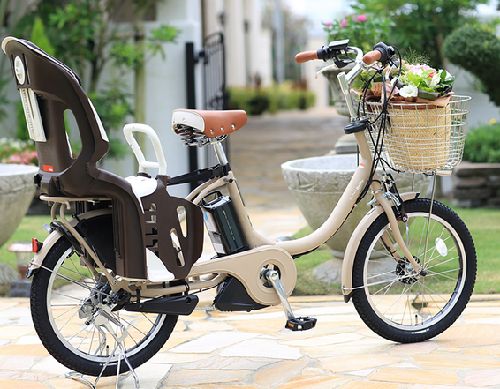 Mua xe đạp điện cũ tại Thái Bình cần chú ý những gì