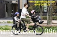Tại sao người Nhật Bản lại thích đi xe đạp trợ lực