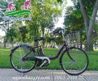 Xe đạp điện trợ lực Nhật Pas Natura