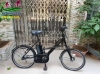 Xe đạp điện Nhật trợ lực Brigestone Real Stream mini kiểu dáng Pas X - anh 1