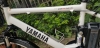Xe đạp trợ lực thể thao Yamha model  màu trắng bơ mới như đập hộp - anh 2