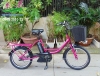 Xe đạp điện Nhật Brigestone Jusis ngn - anh 1