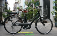 Xe đạp điện trợ lực: Pas Ami Special model