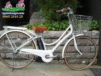 Xe đạp điện Nhật trợ lực Assista POLKU
