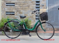 Xe đạp điện Nhật Bản Natura Màu xanh lá cây