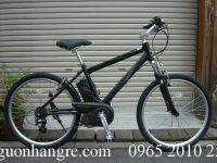 Xe đạp thể thao điện Nhật Panasonic đen 1