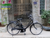 Xe đạp điện Nhật trợ lực Brigestone assista Prima đen tuyền
