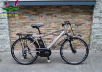 Xe đạp điện Nhật bãi kiểu dáng thể thao hãng panasonic Hurryer màu đồng