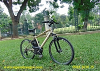 Xe đạp thể thao trợ lực Panasonic Hurryer màu đồng