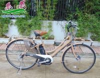 Xe đạp trợ lực Nhật Bản Brigestone Veltro