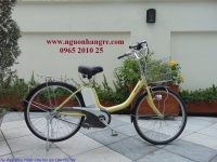 Xe đạp điện Nhật National  màu kem vàng