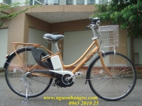 Xe đạp điện Brigestone tay ga màu đồng