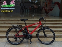 Xe đạp thể thao trợ lực Nhật Panasonic Hurryer đỏ