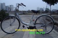 Xe đạp điện trợ lực National