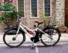 Xe đạp điện Nhật Vienta 5 màu trắng - anh 1