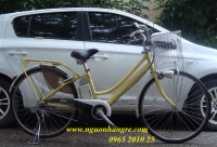 Xe đạp điện Asista trợ lực nguyên bản Zin