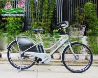 Xe đạp điện Nhật trợ lực HydeeB màu xám