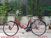 Xe đạp điện Nhật Natura màu đỏ