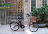 Xe đạp điện Nhật trợ lực Brigestone bánh nhỏ - anh 1