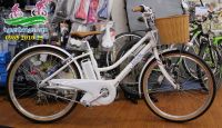 Xe đạp điện Nhật trợ lực Deliche Brigestone