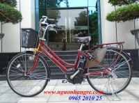 Xe đạp điện trợ lực ASSISTA STILA đỏ đun 1