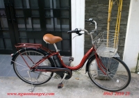 Xe đạp điện trợ lực: Pas natura  đỏ đun