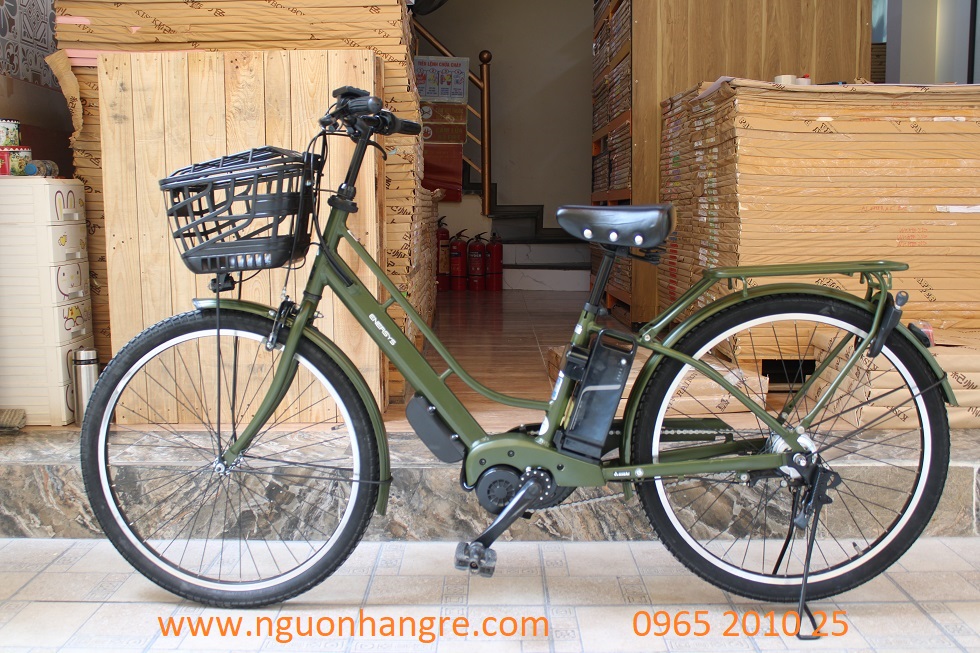 xe-dap-dien-nhat-enersys-36v-1