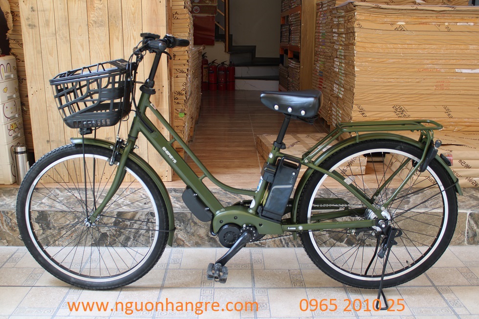 xe-dap-dien-nhat-enersys-36v-2