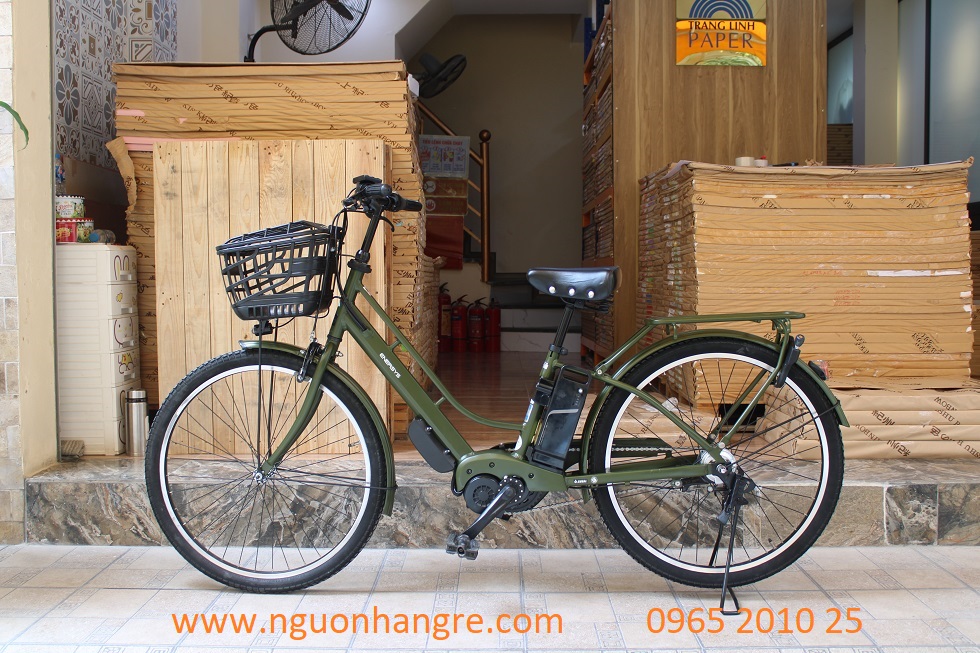 xe-dap-dien-nhat-enersys-36v-3