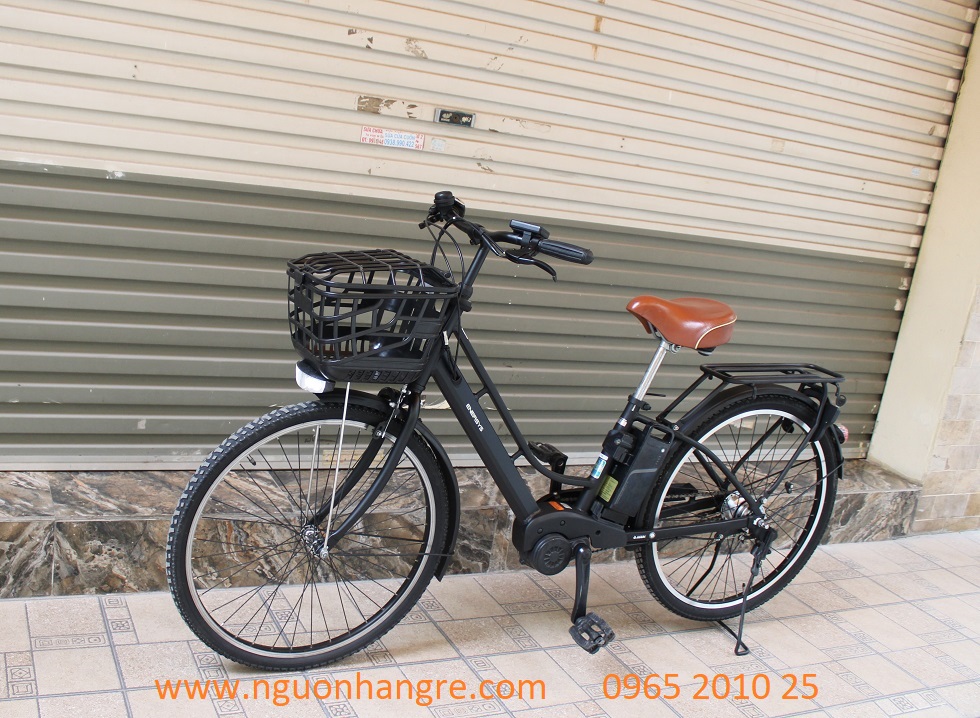 xe-dap-dien-nhat-tro-luc-enersys-36v-4