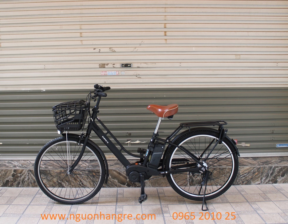 xe-dap-dien-nhat-tro-luc-enersys-36v-5