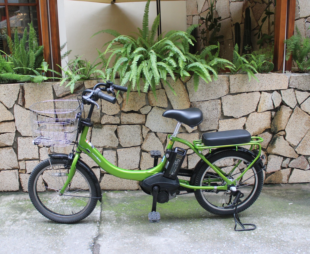 xe-dap-dien-nhat-yamaha-babay-mau-xanh-com-6